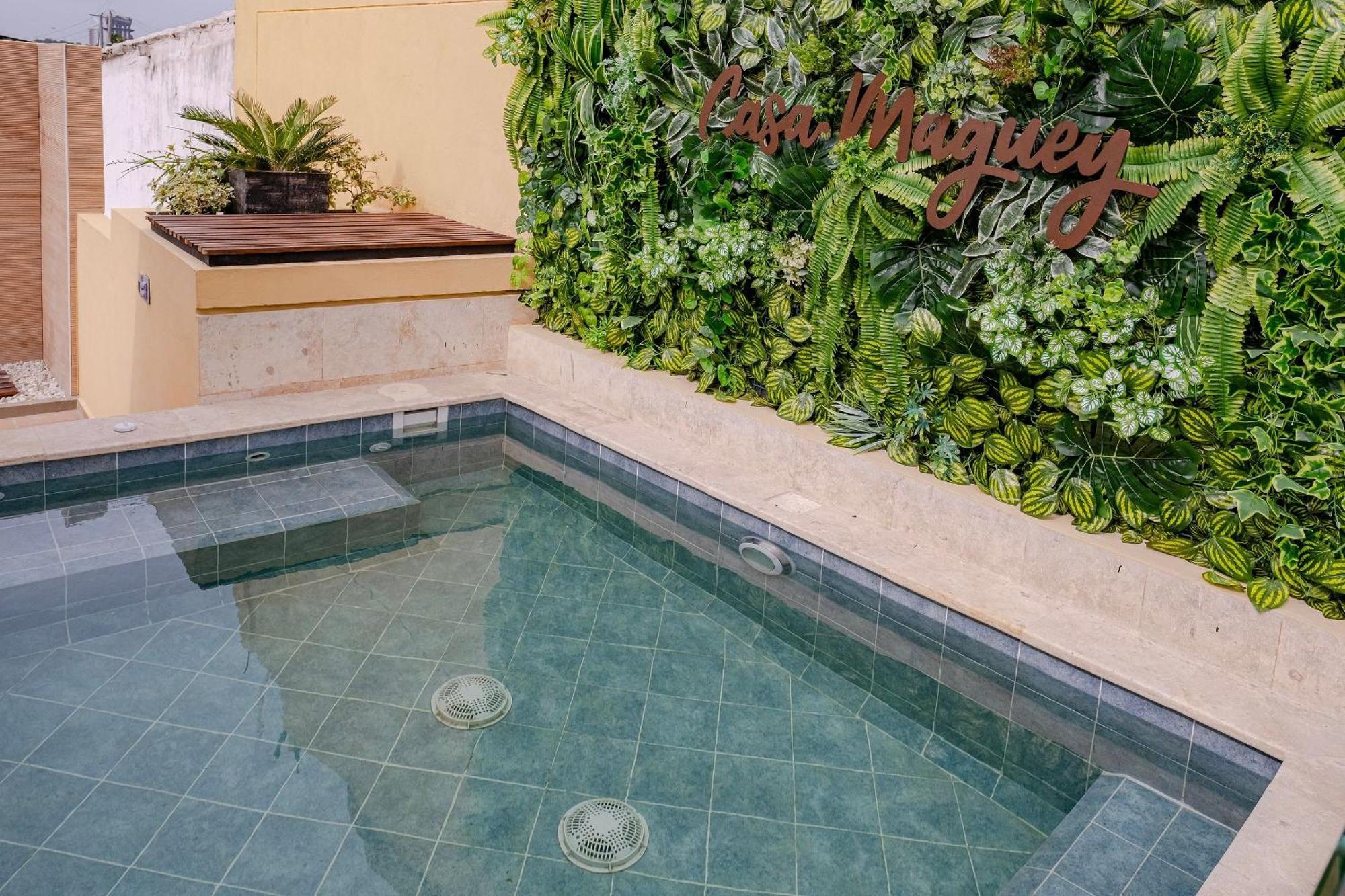 Oasis Colombomexicano En El Corazon De Сasa de vacaciones