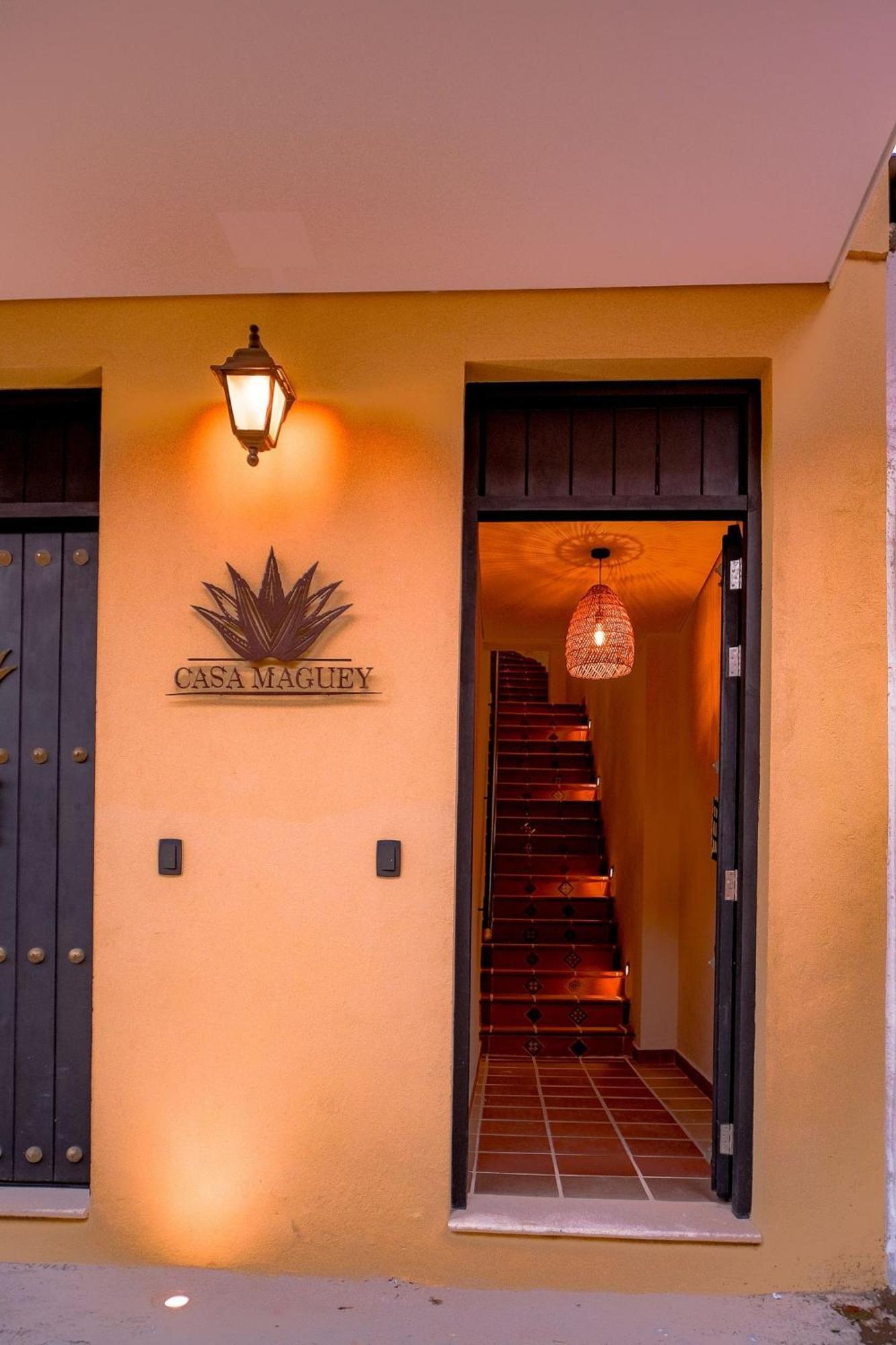 Oasis Colombomexicano En El Corazon De Сasa de vacaciones